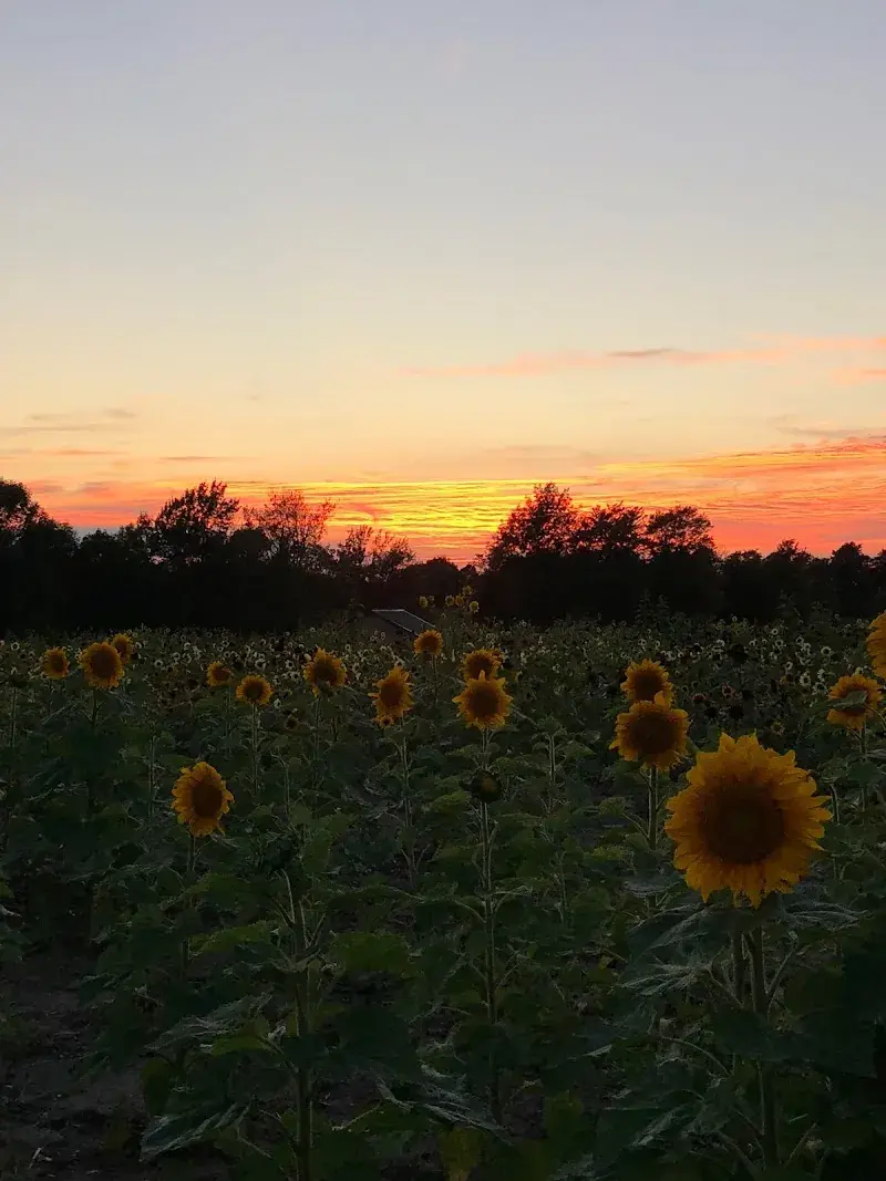 Lakeland Orchard & Cidery in Scott, PA