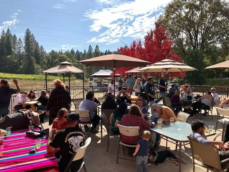 North Canyon Cider Company in Camino, CA