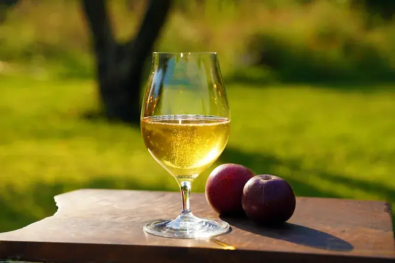 Posterity Ciderworks-- Mokelumne Hill Location in Mokelumne Hill, CA